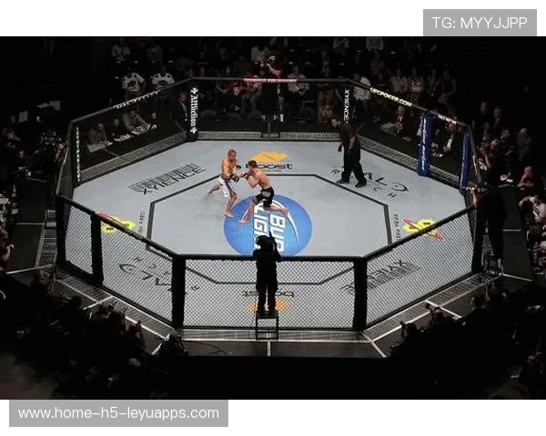 UFC拳手重击后直接跨坐对方的终极战术揭秘