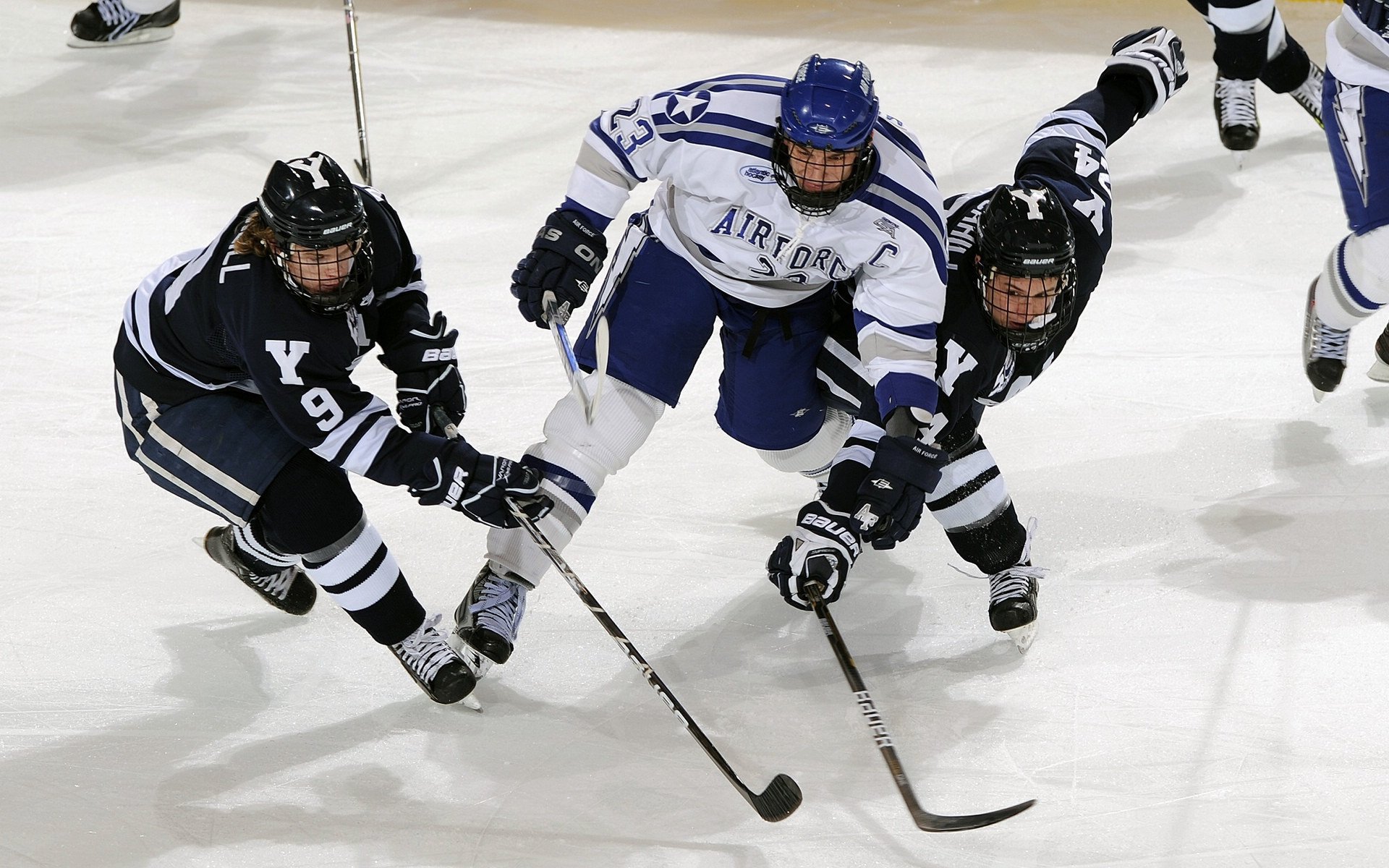 乐鱼体育下载-“东部新区定向越野：运动员在迷雾中寻觅胜利”